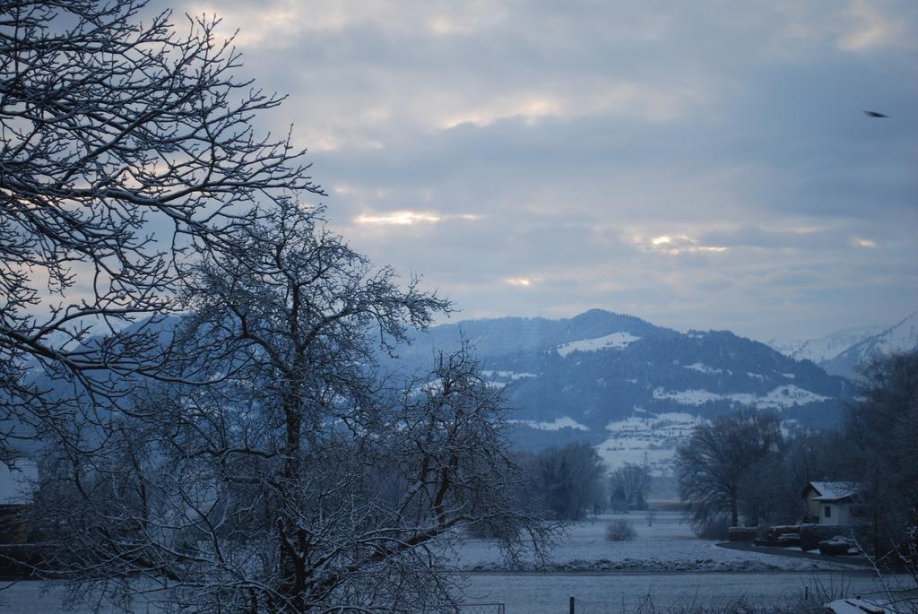 Ferienwohnung Rheintal Feldkirch Esterno foto